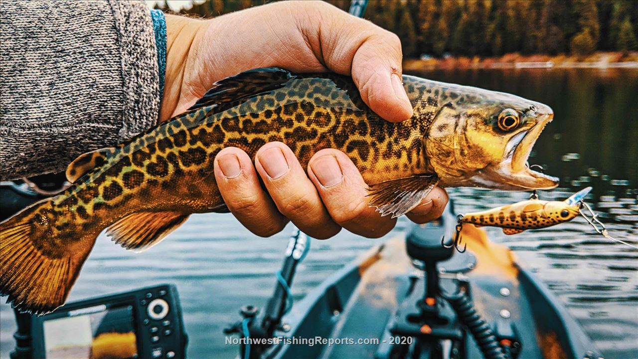 Bonaparte Lake Report, Okanogan County, WA NWFR