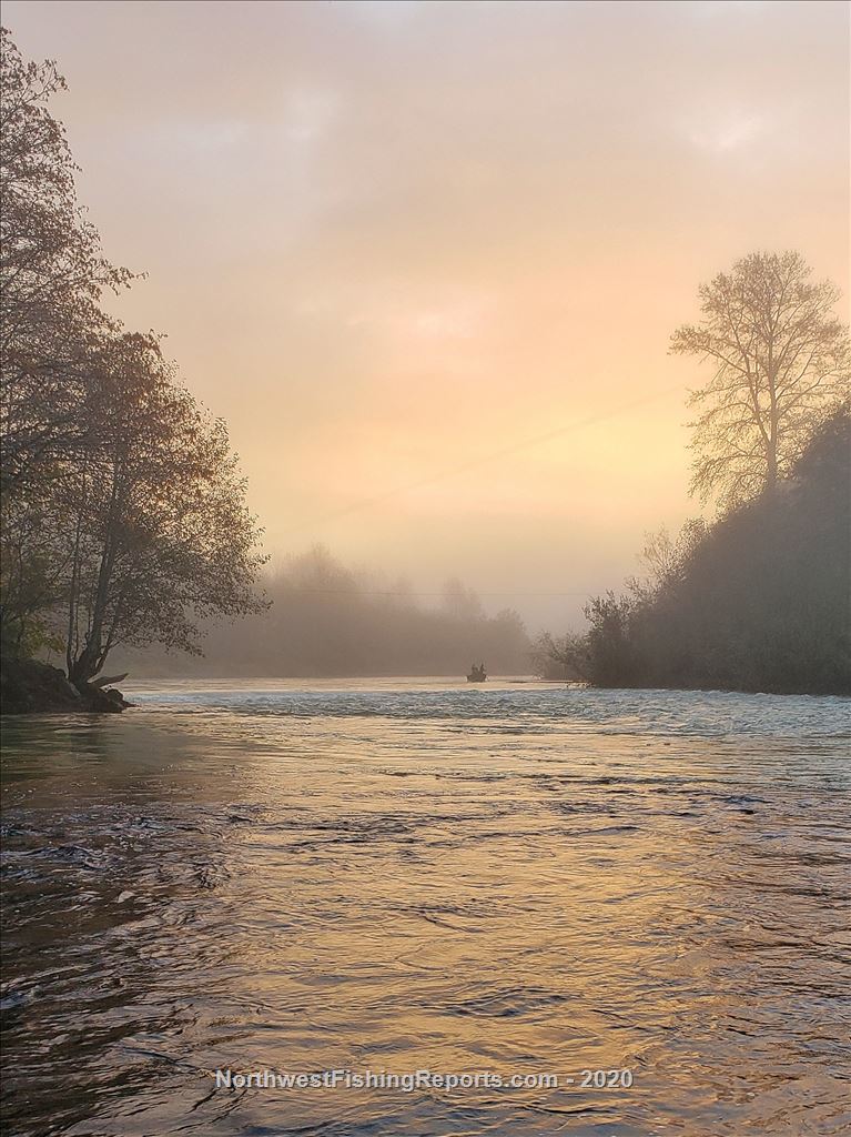Humptulips River Report, Grays Harbor County, WA NWFR