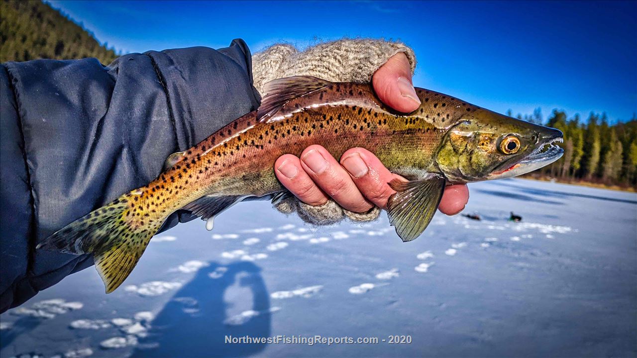 Bonaparte Lake Report, Okanogan County, WA NWFR