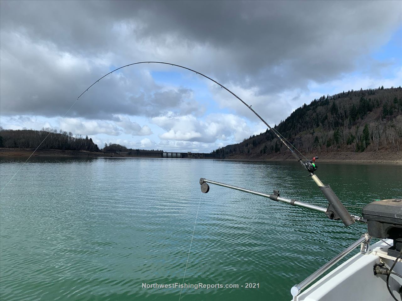 Riffe Lake Report, Lewis County, WA NWFR