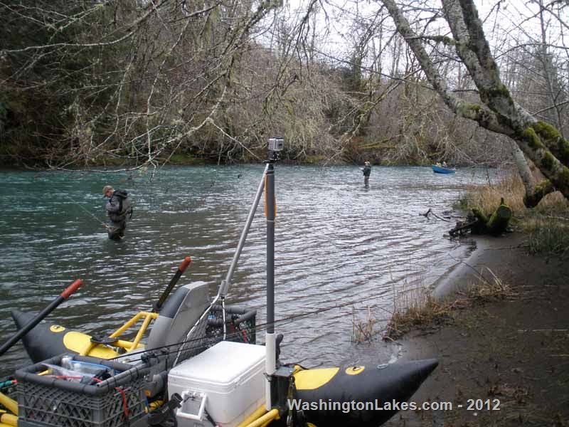 Wynoochee River Report, Grays Harbor County, WA NWFR