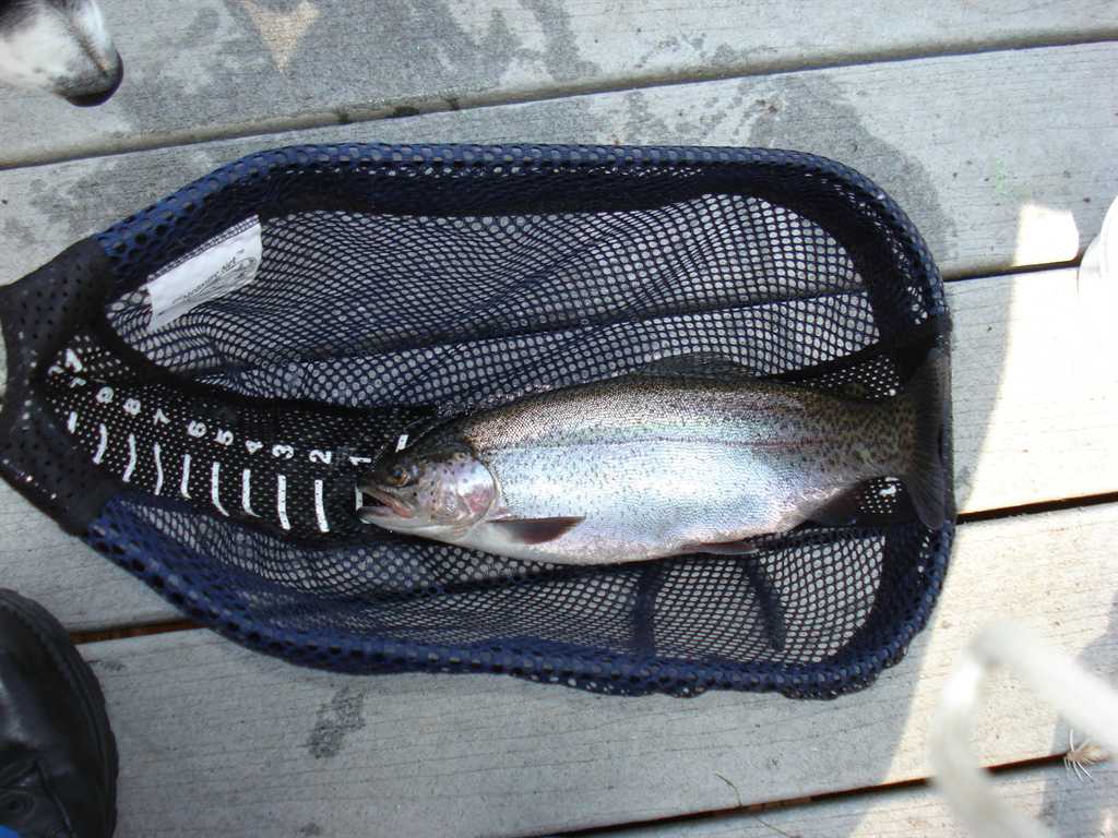 Island Lake Report, Kitsap County, WA NWFR