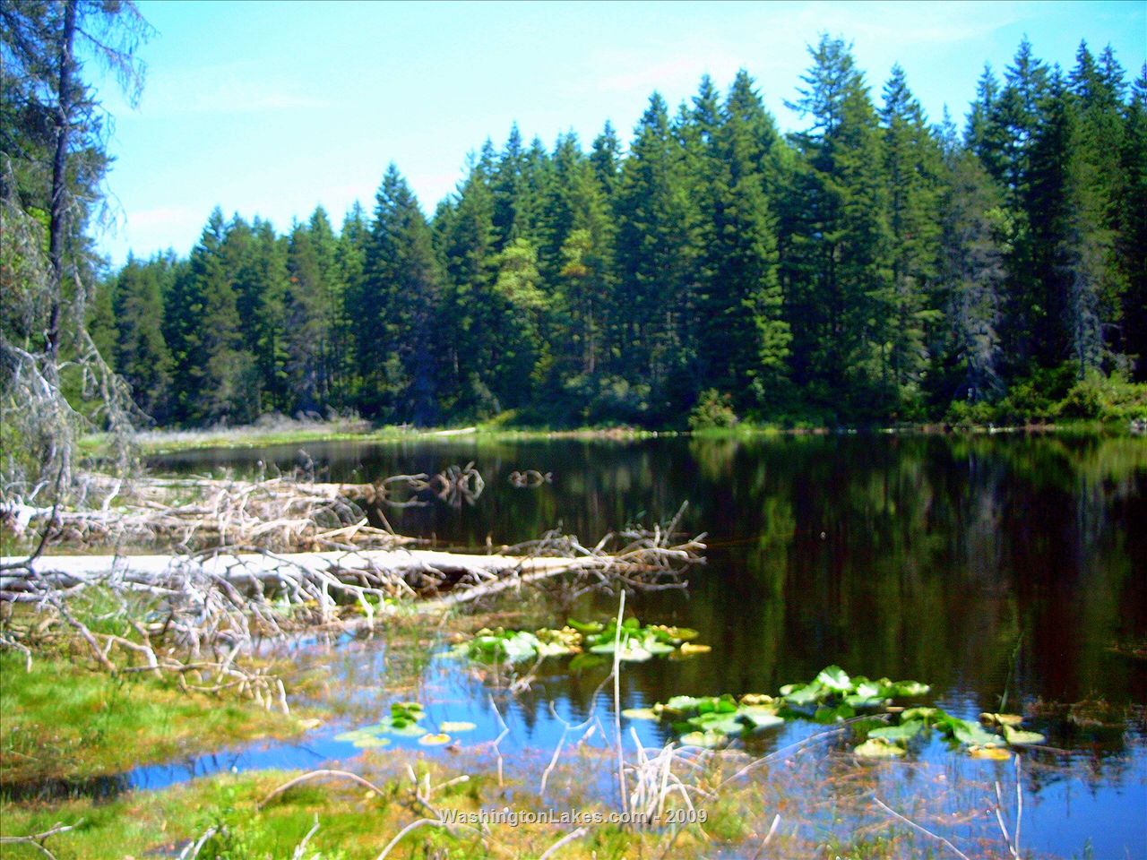 Square Lake Report, Kitsap County, WA NWFR