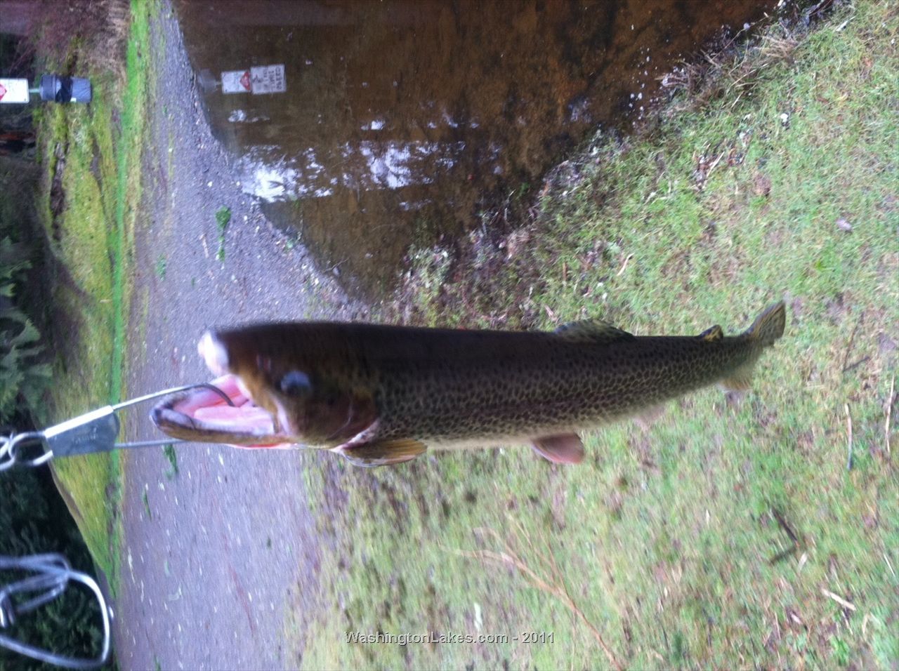 castmaster fishing castmaster fishing