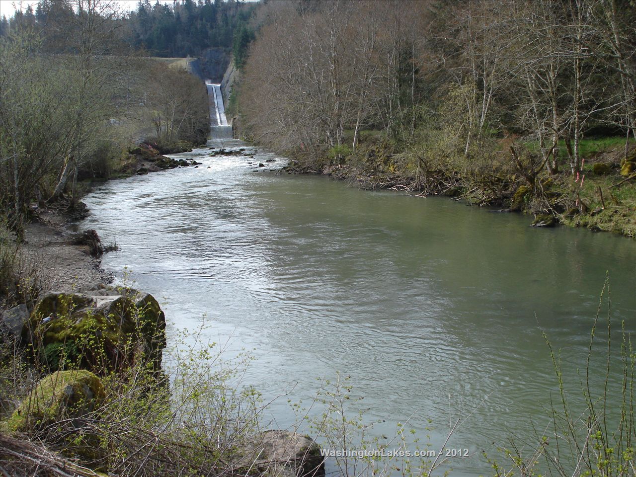 Skookumchuck River Report, Lewis County, WA NWFR