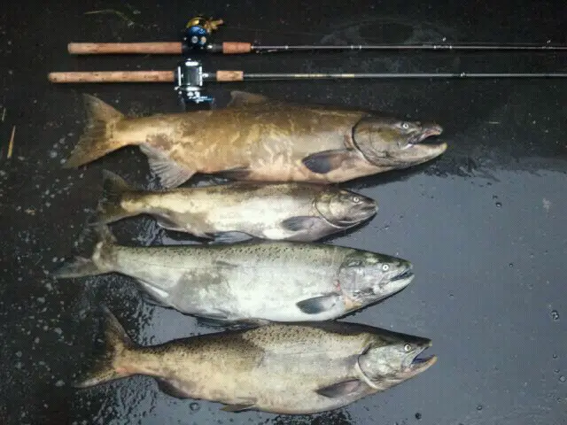 2011-09-17_11.03.06.jpg