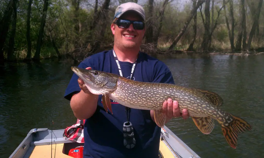 Resize Pike.jpg