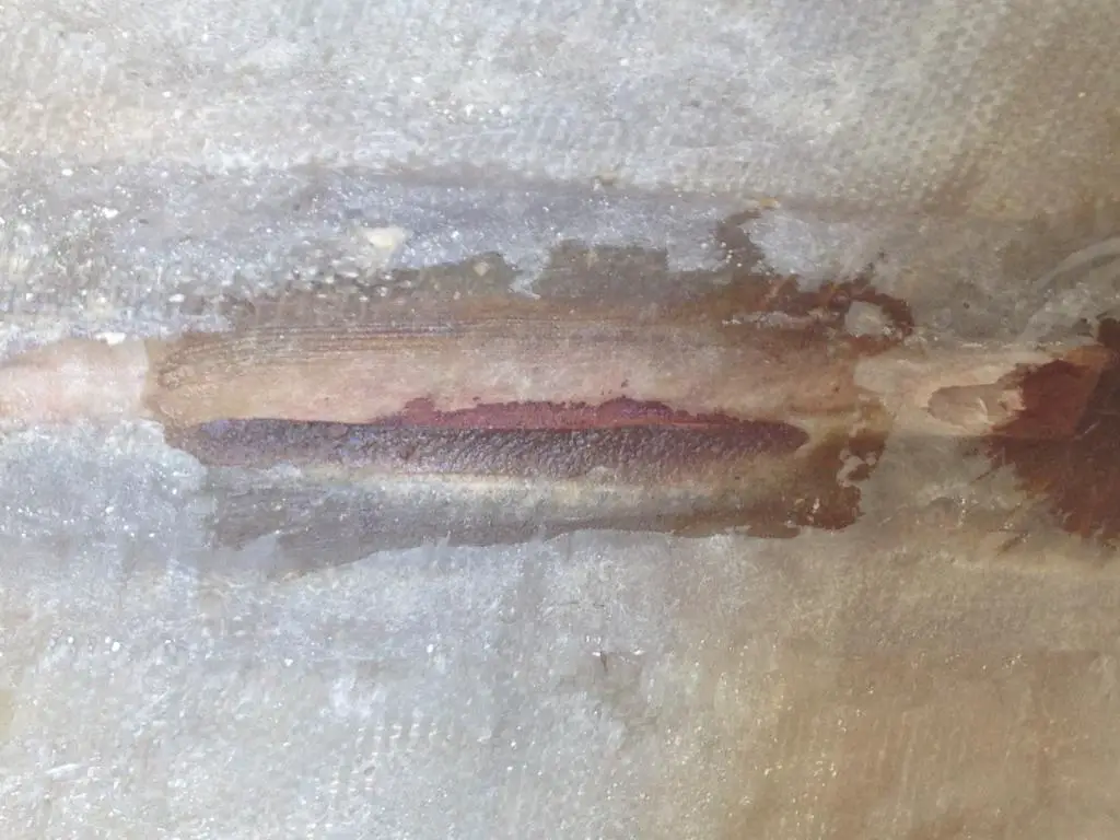 pic 6.jpg