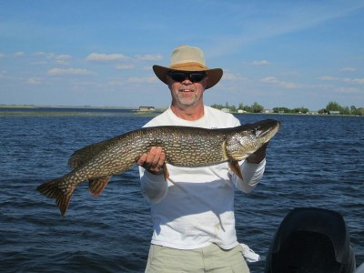 IMG_0786.JPG