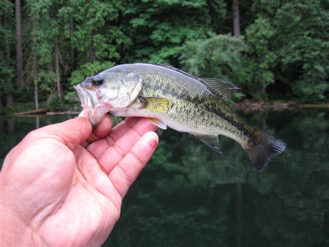 Camping__Battleground_Lake_2008_030_Small.jpg