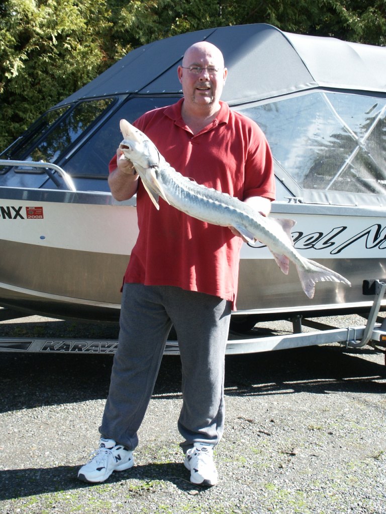 10-18-08_fish_1.jpg