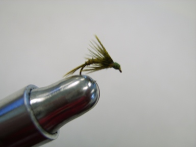 1Biot_Emerger.JPG