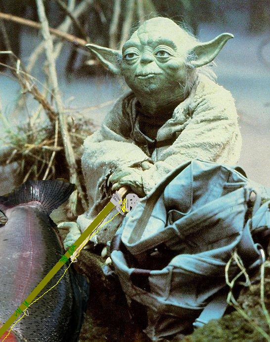 yoda.jpg