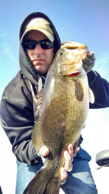 4.6.18.WC.LT.6.9lb.jpg (149.67 KiB) Viewed 26710 times 4.6.18.WC.LT.6.9lb.jpg