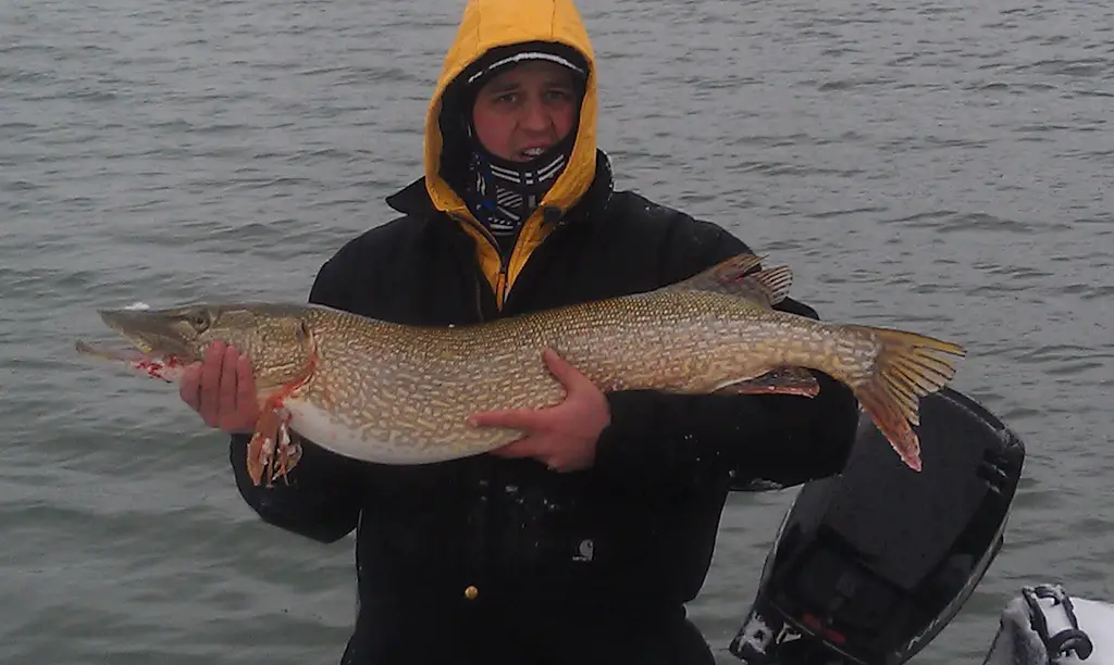 Full Shot Biggest Fish 43 resized.jpg