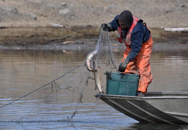 Pike fishing 101.jpg