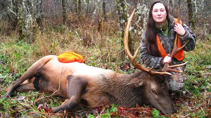 2013 elk.jpg