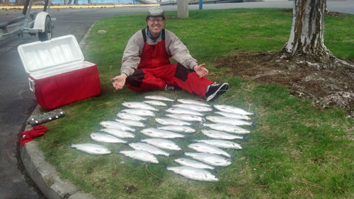 Mess-o-Fish.jpg