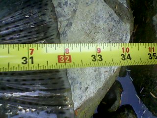 0805141522.jpg