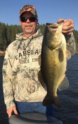 Bass.jpg (216.95 KiB) Viewed 8433 times Bass.jpg