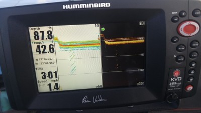 sonar img sam.jpg
