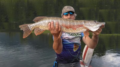 denton 15lb pike 6-24-19.jpg