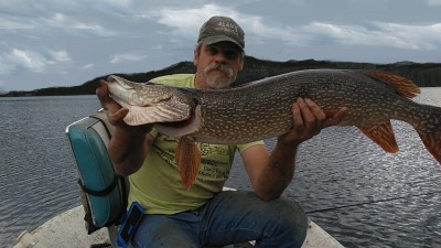 monster dent pike 8-16-19.jpg