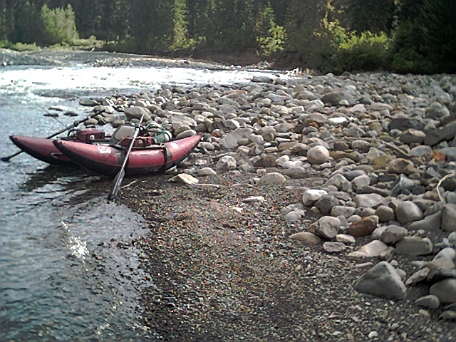 IMG0201.jpg