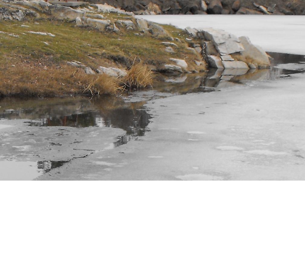 frozenshore1.JPG