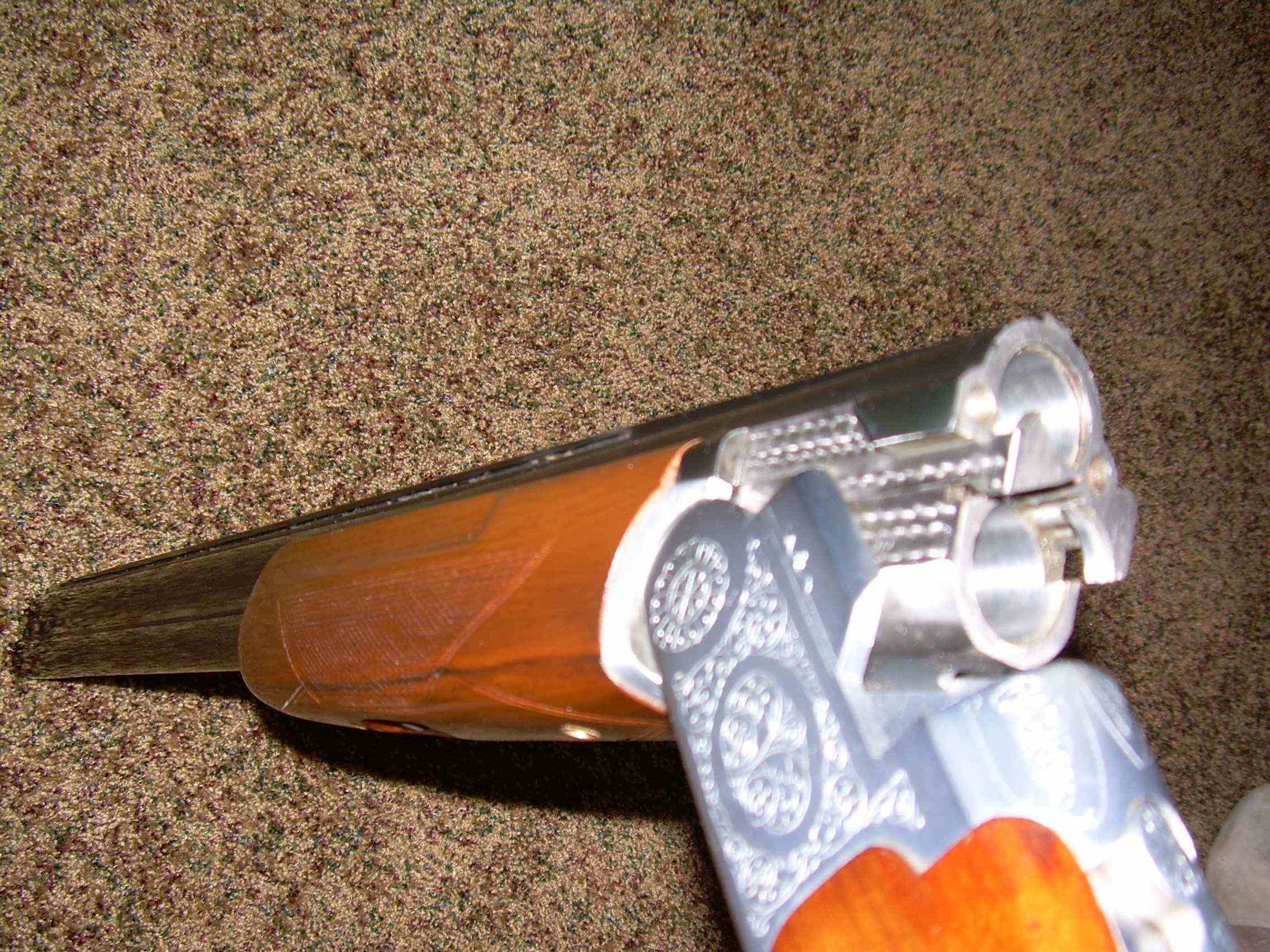 DSCN0724.jpg