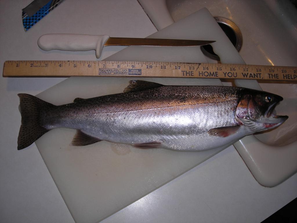 Lk_Wash_Cutt_25_JUL_2009_dinner0.jpg
