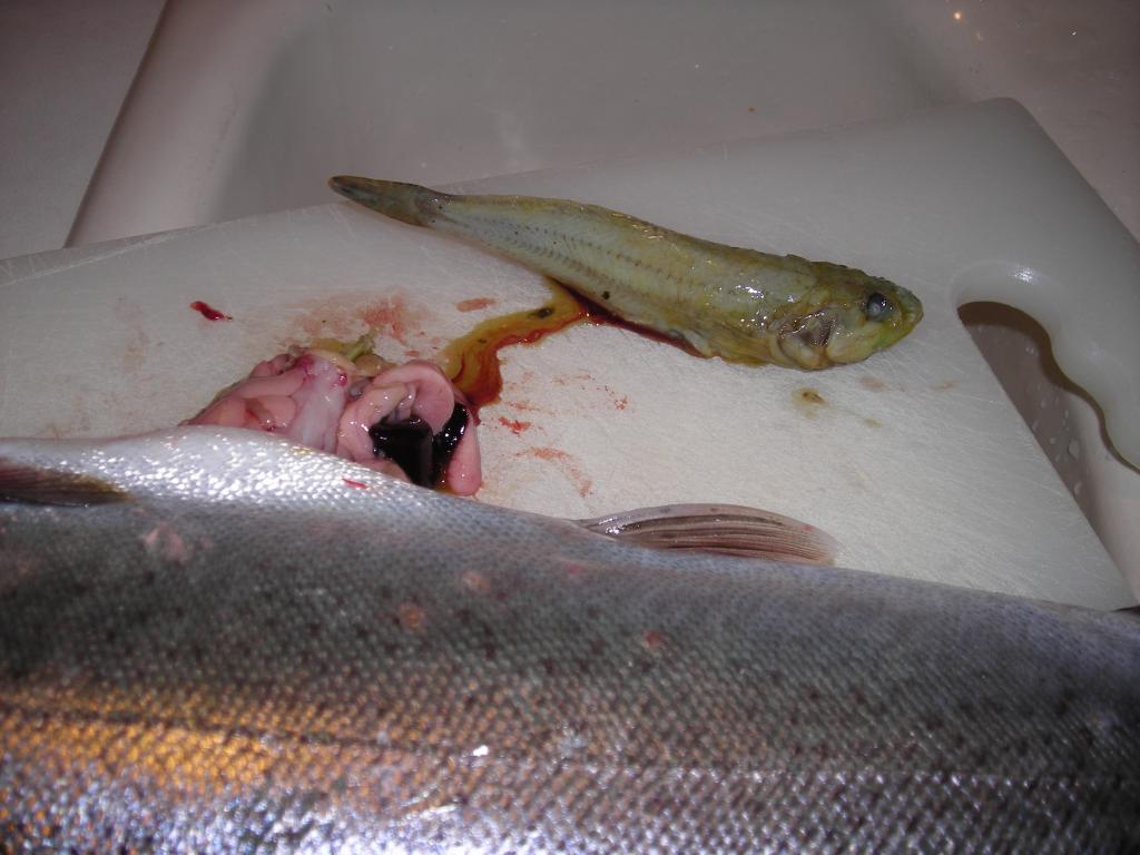Lk_Wash_Cutt_25_JUL_2009_dinner2.jpg