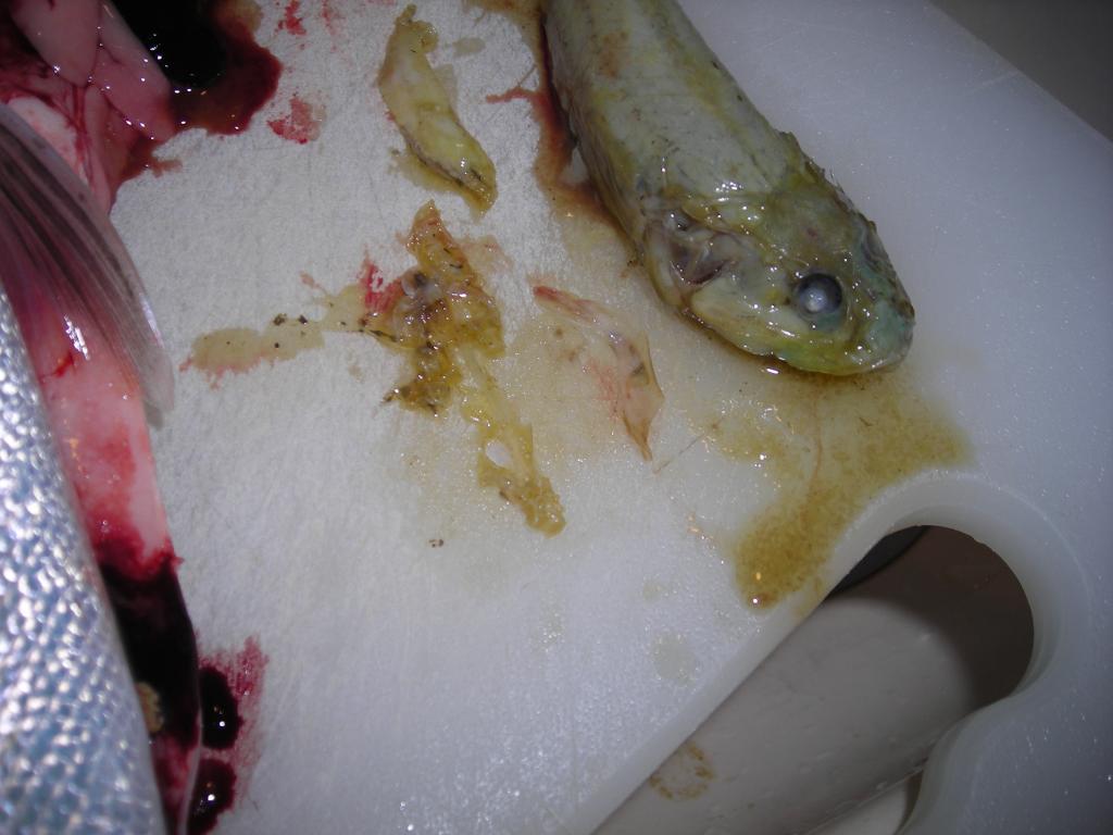 Lk_Wash_Cutt_25_JUL_2009_dinner3.jpg