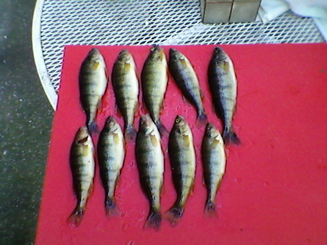 Photo-0028[1].jpeg
