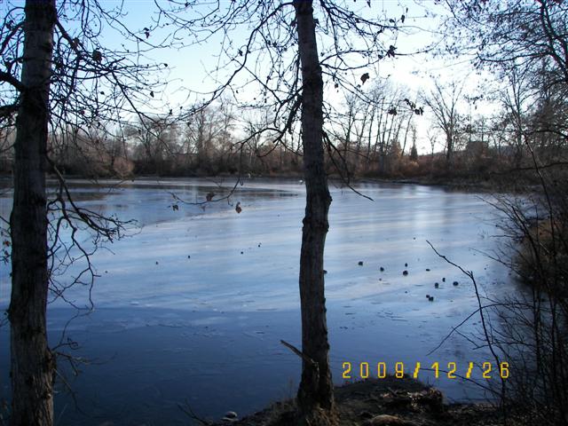 100_4047_Small.jpg