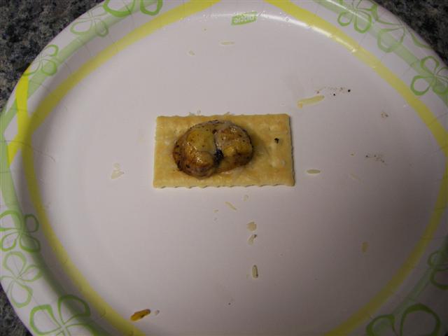 100_4073_Small.jpg