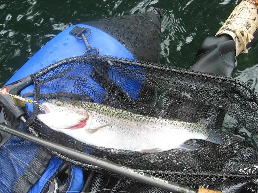 FishingCreek__Spinners.jpg