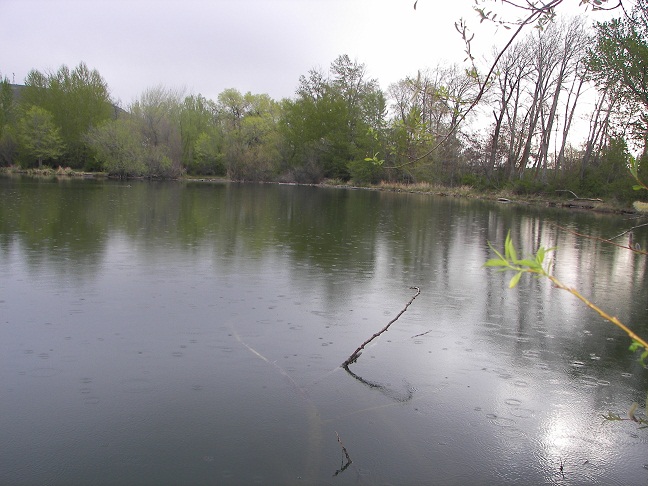 fish__dewclaws_4-15-10_003.JPG