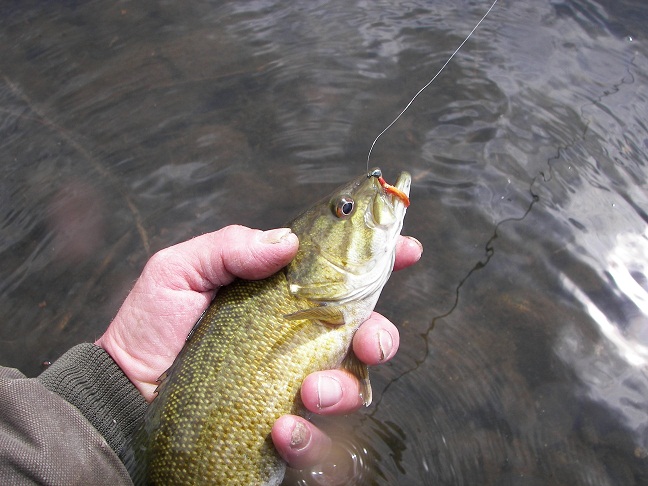fish__dewclaws_4-15-10_010.JPG