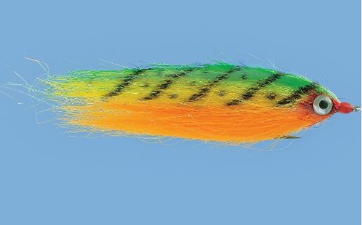 Rainys_Pike_Fly_1.tiff_2.jpg