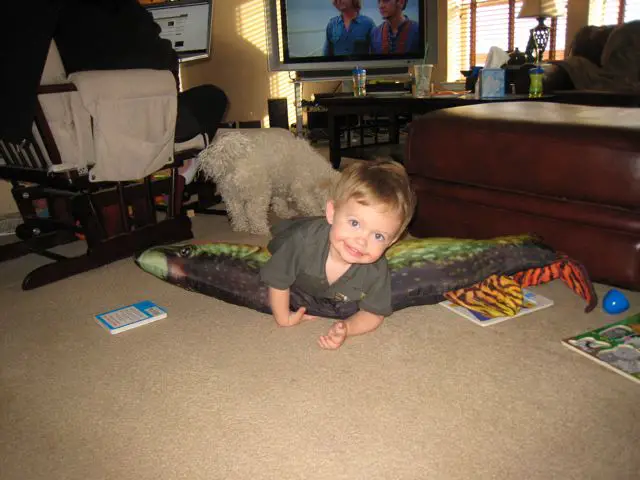 Wyatt_Wrestling_53%22_pike.jpg