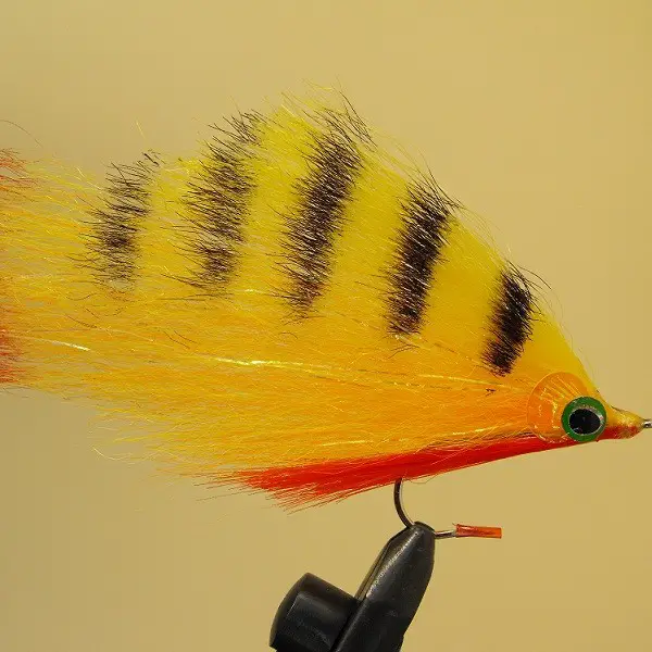 yellow_perch.jpg