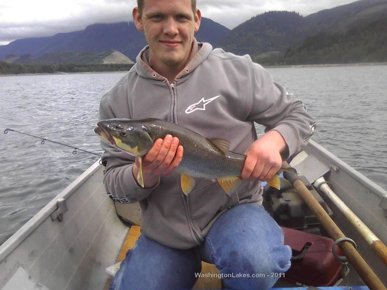 mystery_fish.jpg
