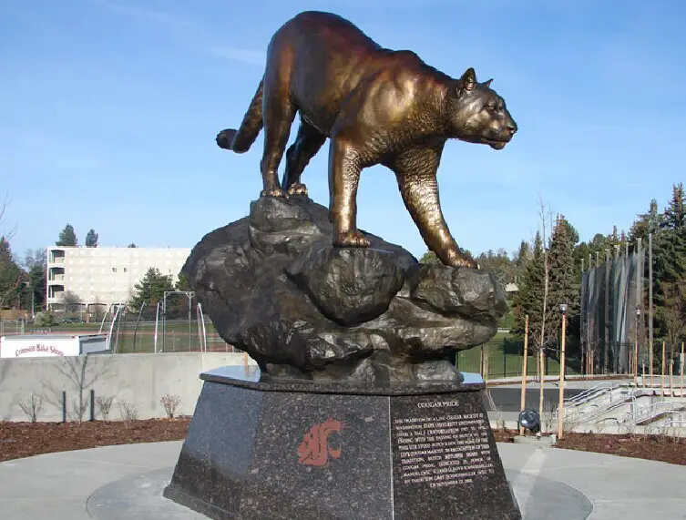 Cougar_Bronze_1.jpg