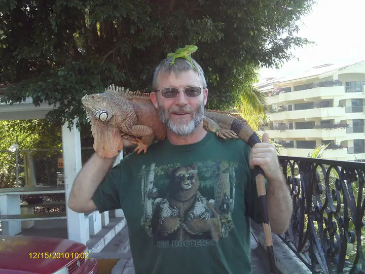 iguana.jpg