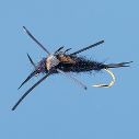 stonefly.jpg