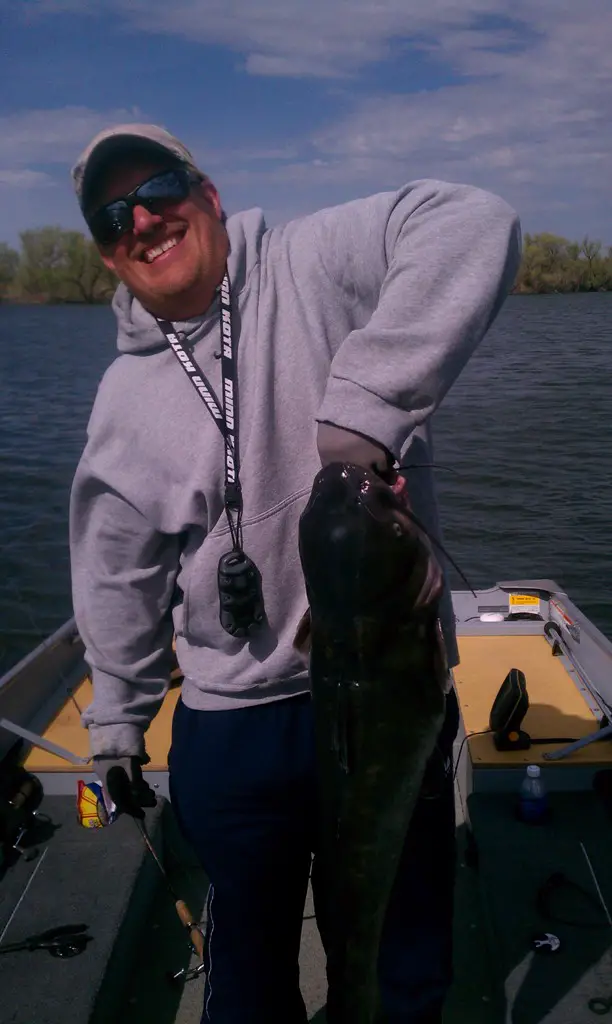 Resized catfish.jpg