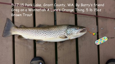 Barrys big brown 5-17-15.jpeg