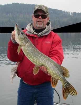 9 LB.jpg