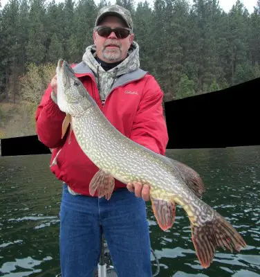 12 LB.jpg